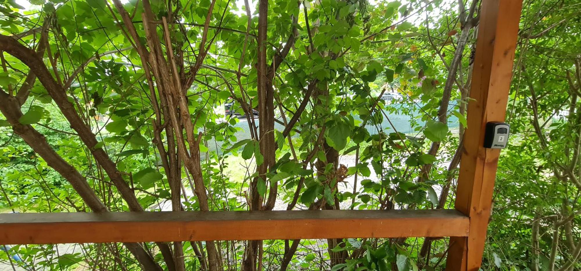 Apartmány Orlová - ubytování v soukromí Esterno foto